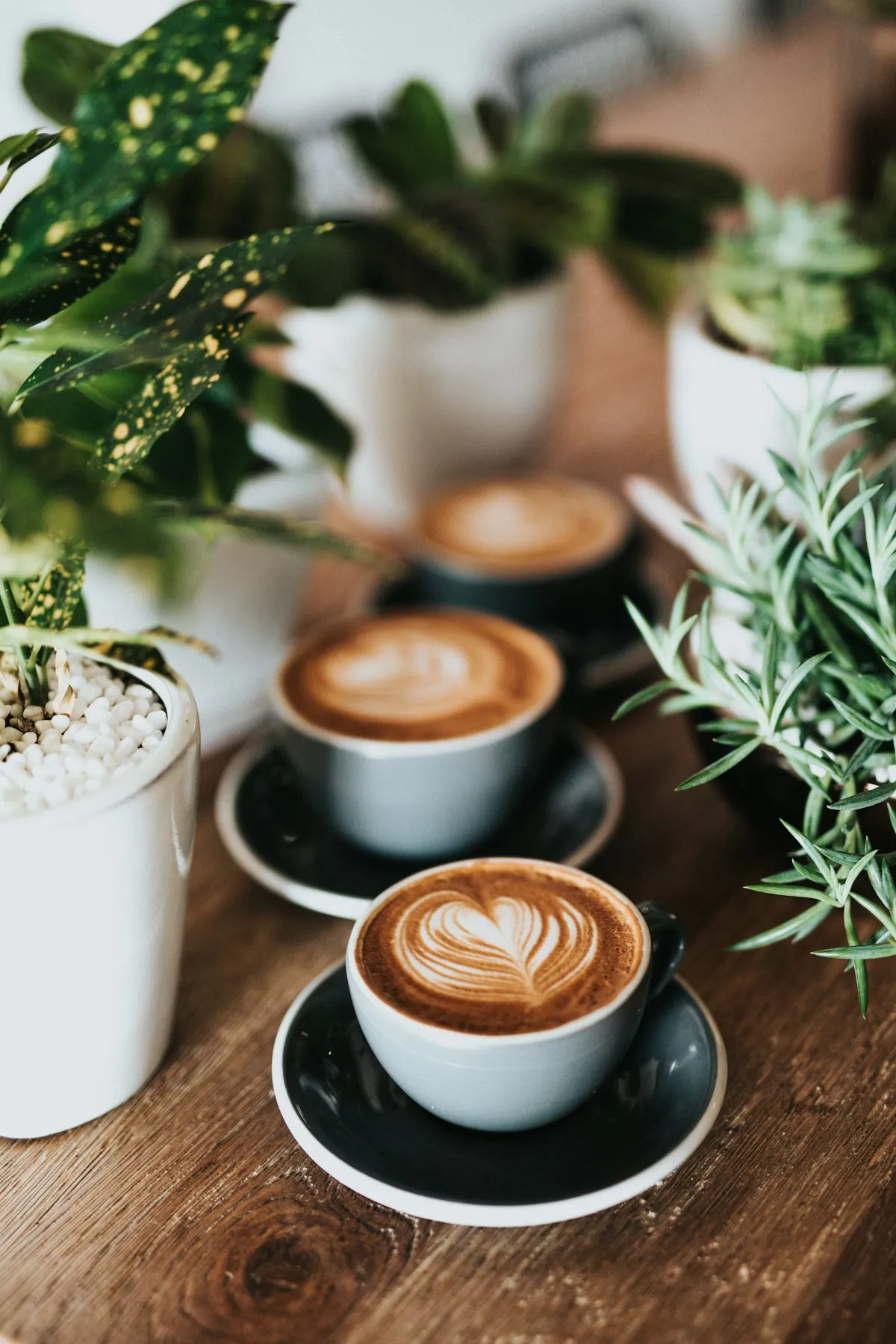 A coffee drink representing the beverage culture in San Francisco offices
